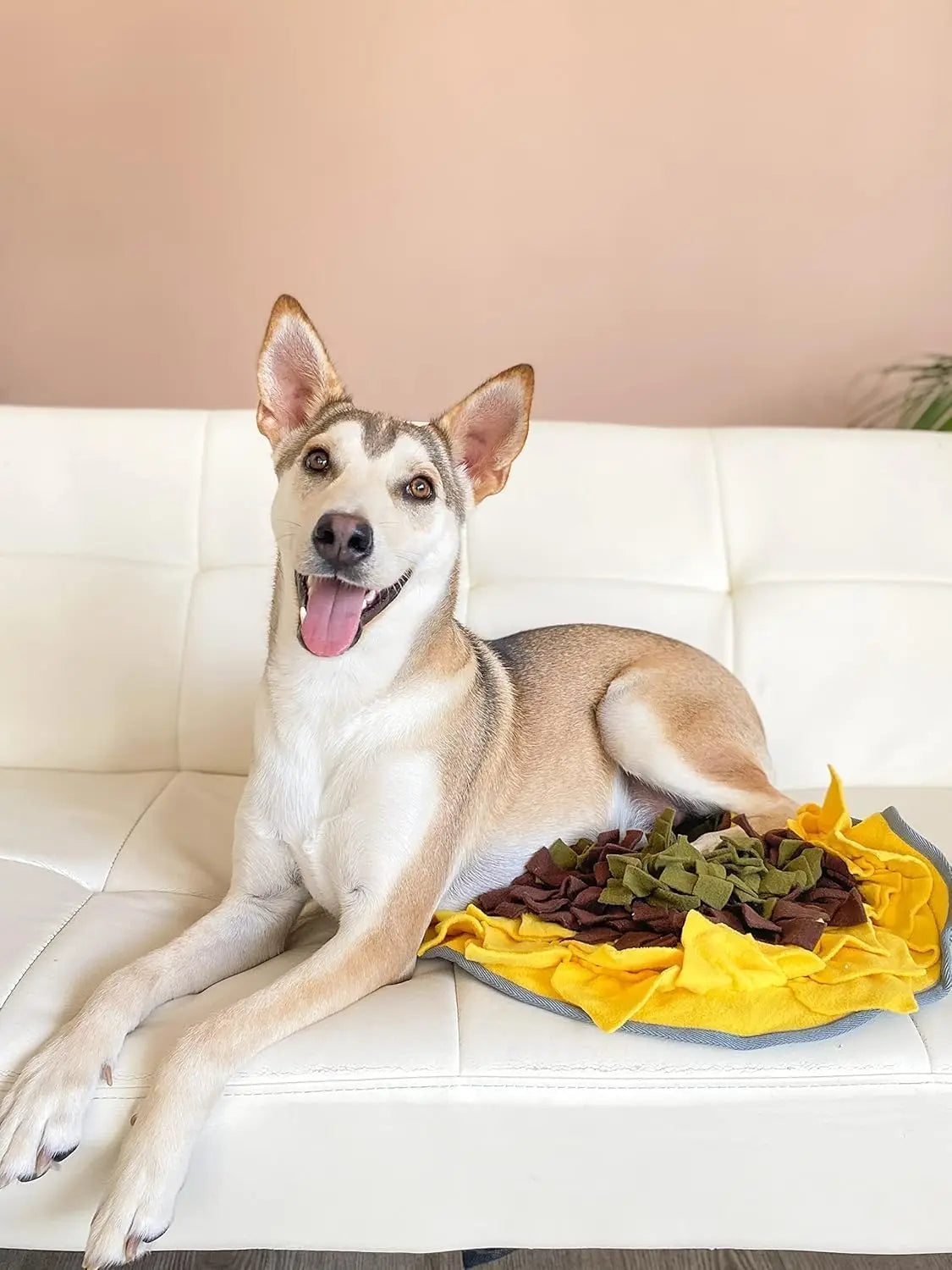 Interactive Puzzle Feeding Mat, Snuffle Mat for Dogs, Foraging Skills