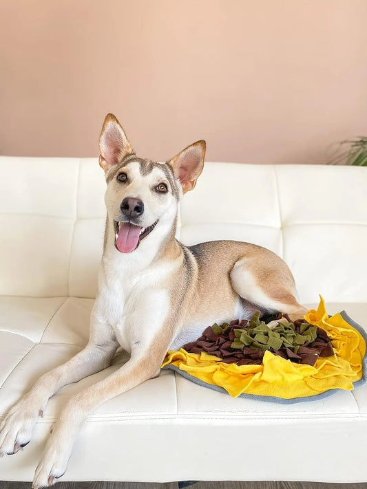 Interactive Puzzle Feeding Mat, Snuffle Mat for Dogs, Foraging Skills