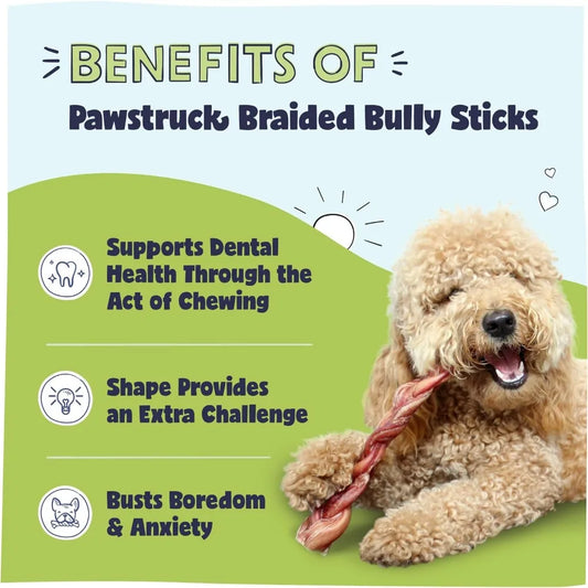 Natural 12" Braided Bully Sticks for Dogs – Tough, Long-Lasting, Rawhide-Free, Low-Odor, Single Ingredient Chew Treat