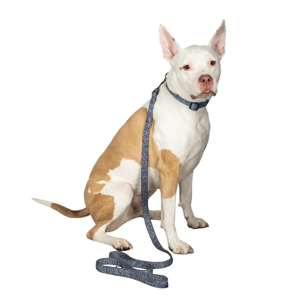 Durable Space Dye Dog Leash 6Ft Long Comfortable Padded Handle Clip Collar Harness Ideal Walks Playdates Vet Visits