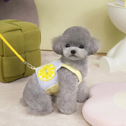 Dog Harness Vest Summer Breathable Puppy Accessories Blue Yellow Dog