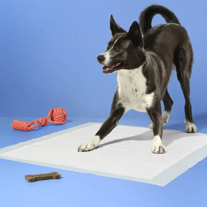 Extra Large Dog Training Pads 28x30" Super Absorbent Leak Proof Potty Pads with Odor Control Built In Attractant
