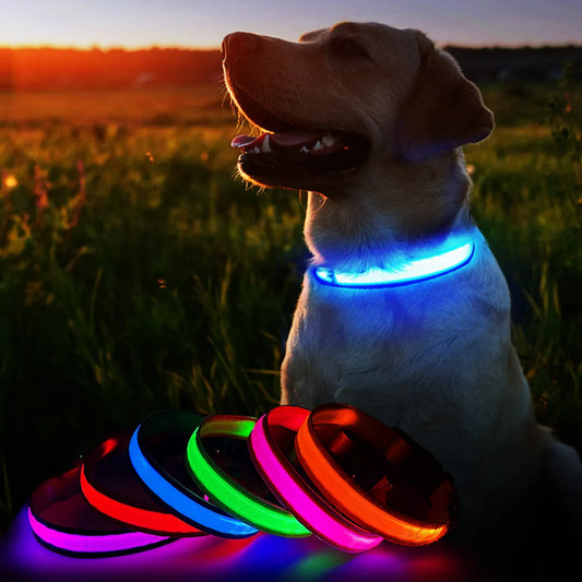 Dog Collar Luminous  Waterproof  Safety Collars dropship