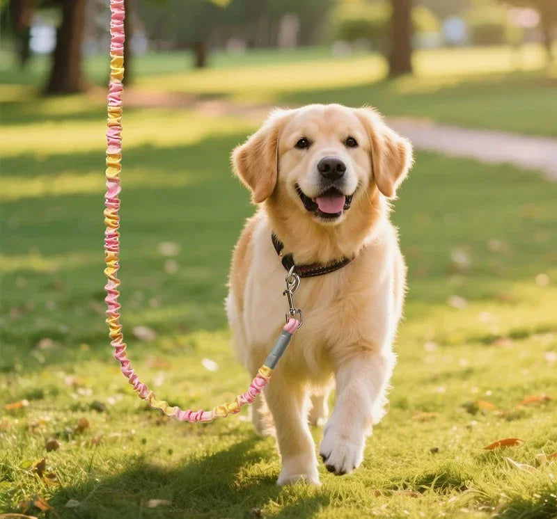 Custom Elastic Leash For Pets