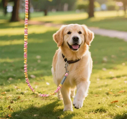 Custom Elastic Leash For Pets