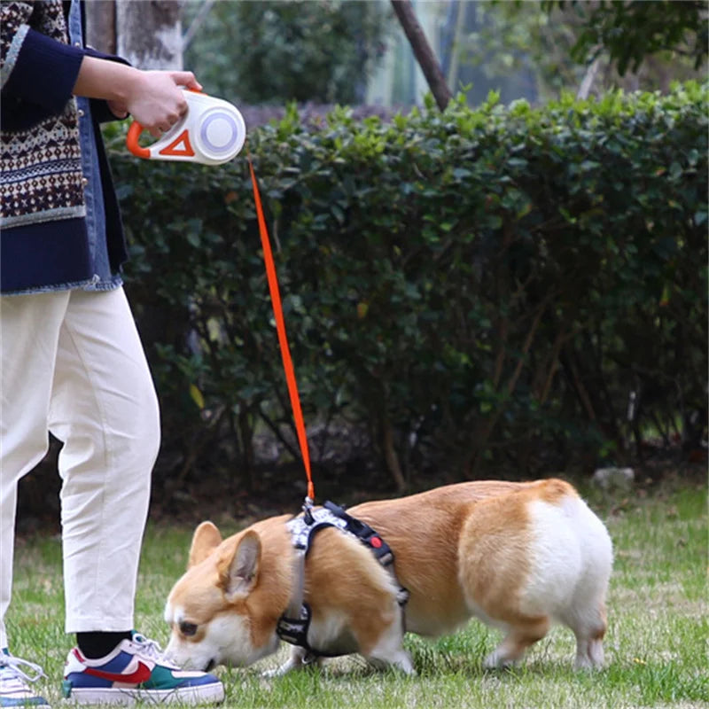 5M Automatic Retractable Dog Leash with LED Flashlight Durable Nylon Lead