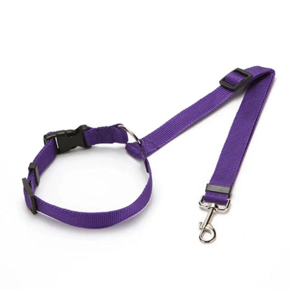 Two-in-one Nylon Adjustable Dogs Harness, Collar.  Car Seat Belt Lead Leash