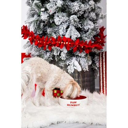 Paw Humbug Pet Bowl, Speckled Food Dish, Holiday , Holds 3 Cups