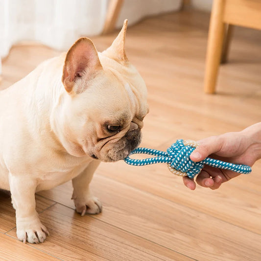 Interactive Cotton Rope Mini Toys.  Ball for Dogs. Chew Toy for Large Small Dogs