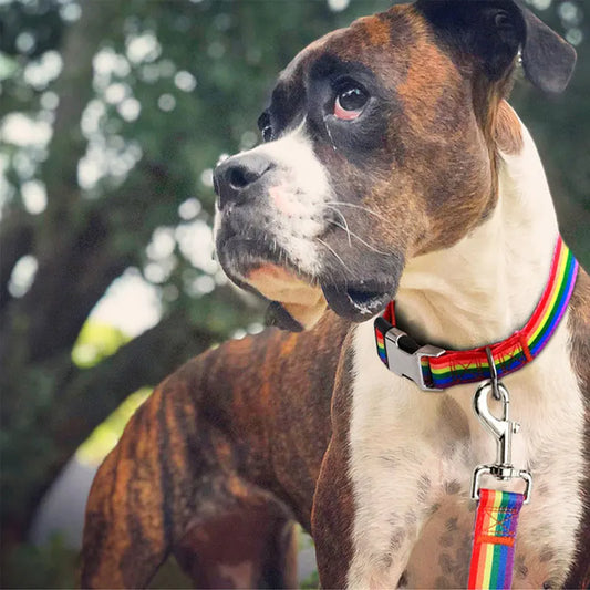 Striped, Pattern Collar Leash Traction rope Pet Cat Harnesses Leads Dog leash