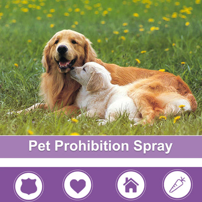 Calming Spray For Dogs Safe Healthy Anti-anxiety