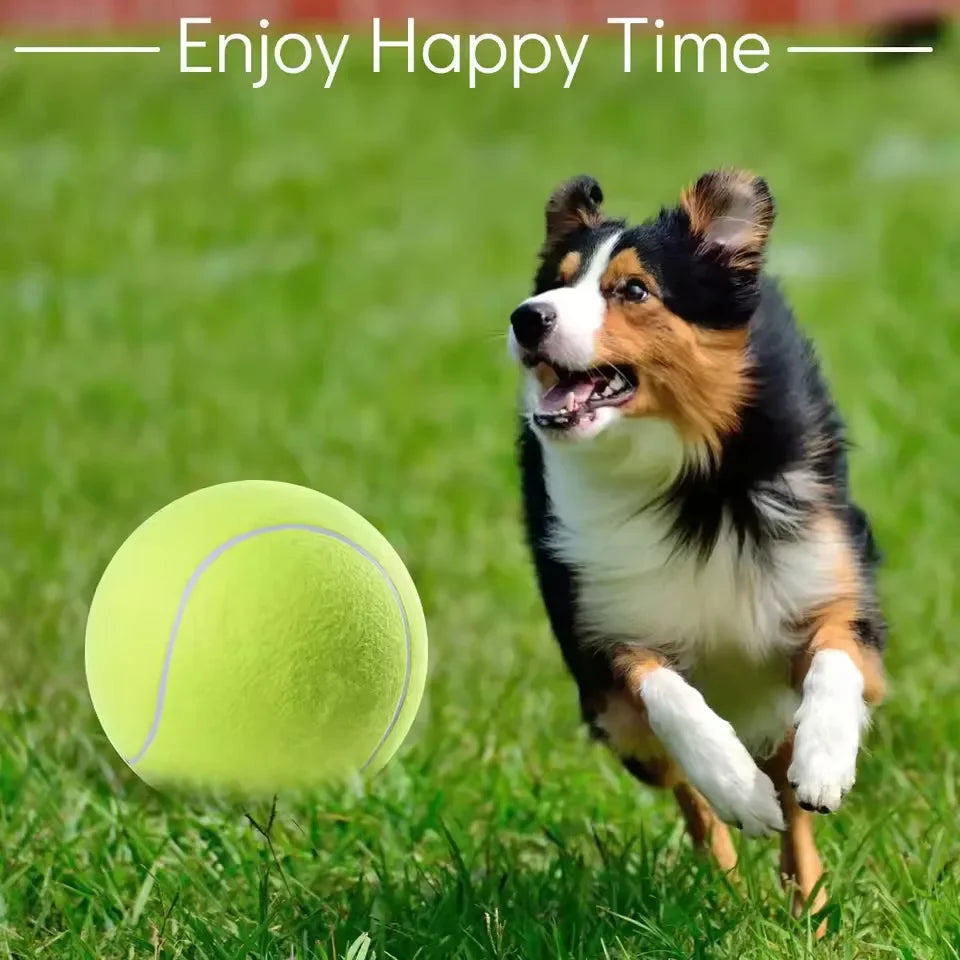 1 Pack 9.5 inch Tennis Ball for Pets  Outdoor/Indoor Sports Training Supplies