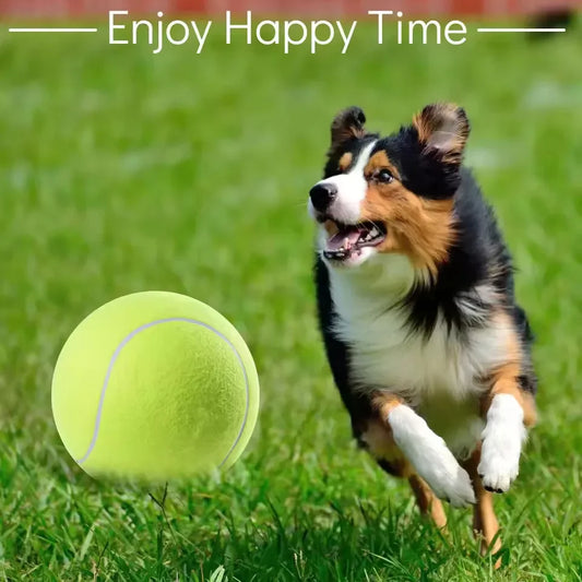 1 Pack 9.5 inch Tennis Ball for Pets  Outdoor/Indoor Sports Training Supplies