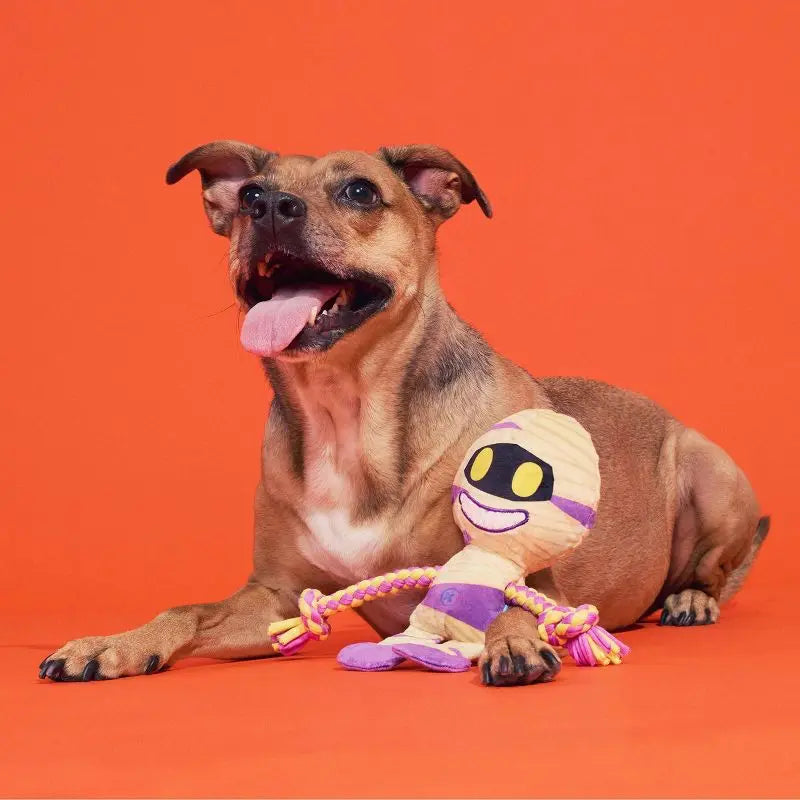 Halloween Dog Toy Mummy Plush with Squeaker Crinkle Sound Tug Rope Whip Flip Legs Interactive Play