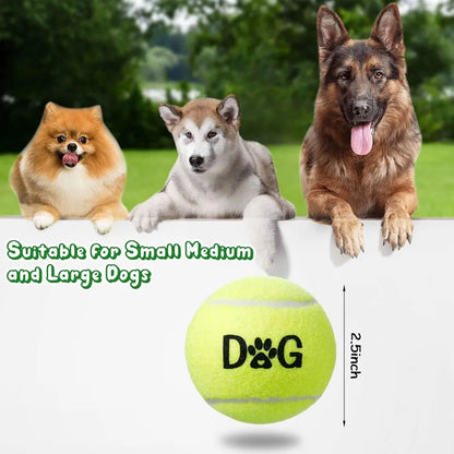 40 Pack Tennis Balls Dog Toys Bulk 2.5 Inch with Carry Bags, Easy Catching Interactive Fetch for Pet Puppy Small Medium Large Do