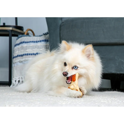 Durable Chicken Flavored Chew Toy Small Dogs Dental Care Treat