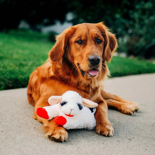 Lamb Chop Plush Dog Toy with Squeaker Interactive Puppy Toy for Small Medium Dogs