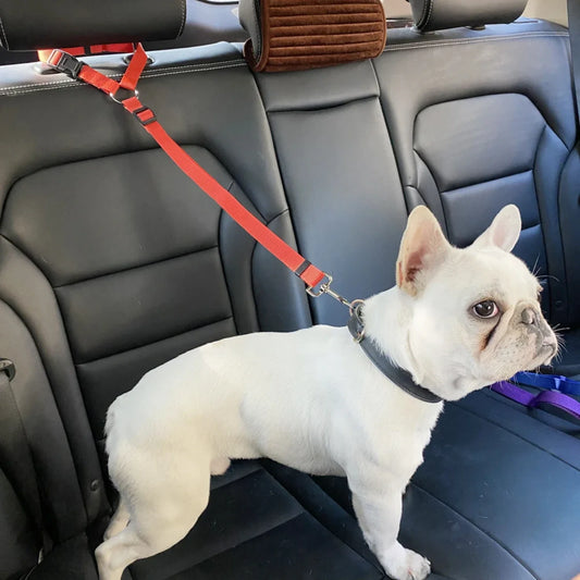 Two-in-one Nylon Adjustable Dogs Harness, Collar.  Car Seat Belt Lead Leash