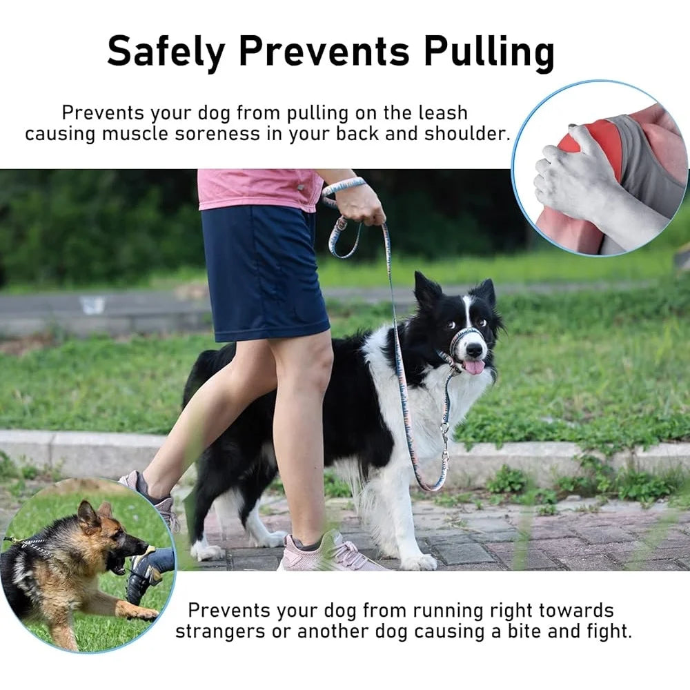 Dog Head Collar Anti-Pulling Halter with Leash Adjustable Snout Harness Training Tool