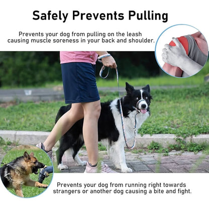 Dog Head Collar Anti-Pulling Halter with Leash Adjustable Snout Harness Training Tool