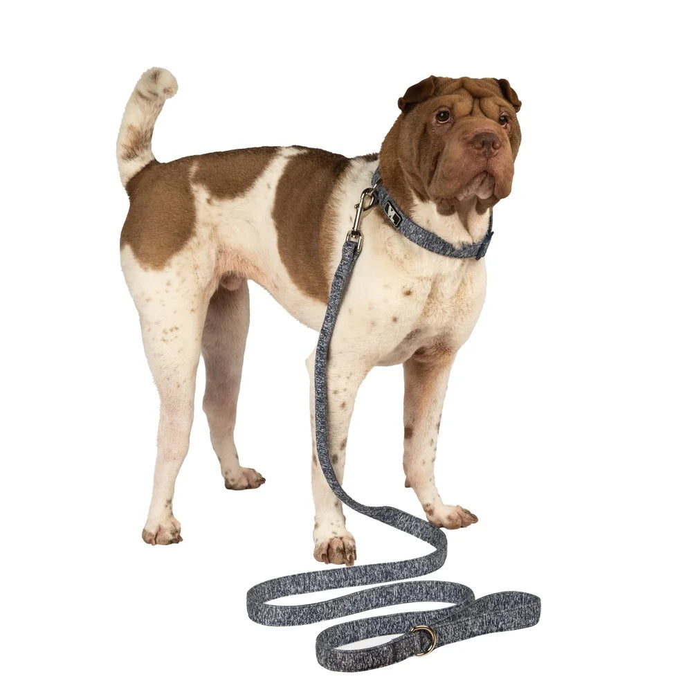 Durable Space Dye Dog Leash 6Ft Long Comfortable Padded Handle Clip Collar Harness Ideal Walks Playdates Vet Visits