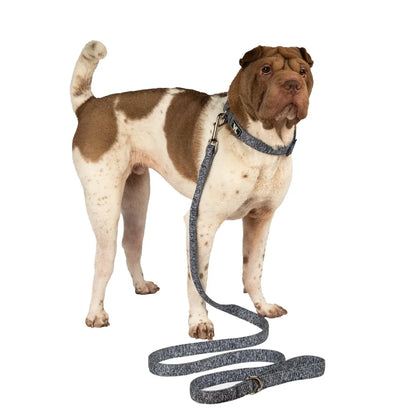 Durable Space Dye Dog Leash 6Ft Long Comfortable Padded Handle Clip Collar Harness Ideal Walks Playdates Vet Visits