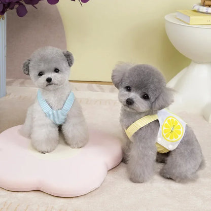 Dog Harness Vest Summer Breathable Puppy Accessories Blue Yellow Dog