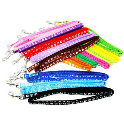 Dog/Cat Leash. Adjustable Leash and Collar for your Puppy. Outdoor Walking